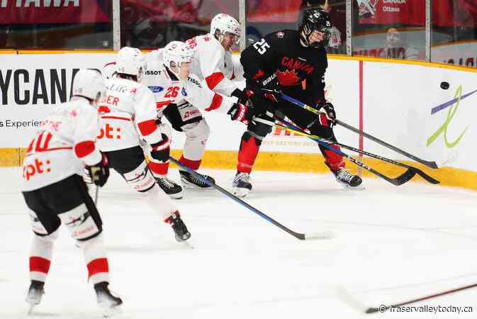 Erie Otters defenceman Schaefer top-ranked North American skater for NHL draft.