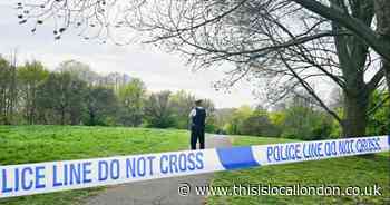 Teenage girl may have been raped in park after gates should have been locked