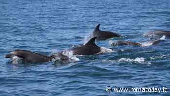 Com'è il mare di Roma? Promossi e bocciati: tutti i dati del litorale