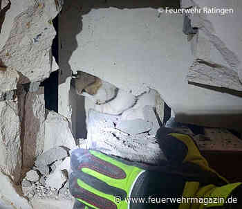 Katze beißt: Feuerwehrmann muss ins Krankenhaus