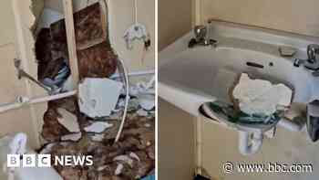 Watch: 'Disgusting' vandalism of owl sanctuary