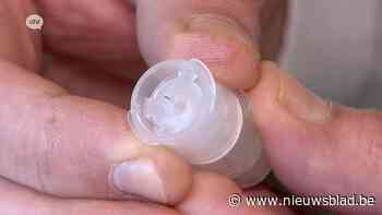 Wijnegems bedrijf maakt pijnloze vaccinaties mogelijk