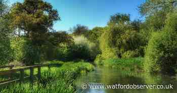 Watford plummets down 'best places to live' rankings list