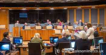 'Significant percentage could use Senedd election to cast protest votes'