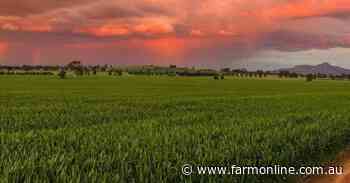 Fairview aggregation delivers first-class farming and grazing opportunity