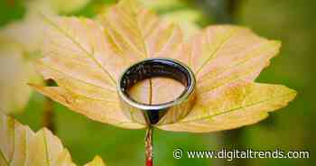 Noise Luna Ring review: A comprehensive health tracker, with one big catch