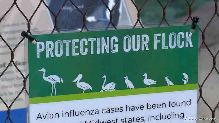 Fort Wayne Zoo protects animals from Bird Flu