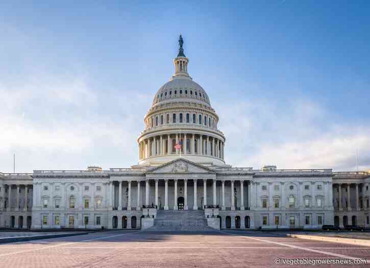 Trump suggests legal pathway for undocumented farmworkers amid deportation push