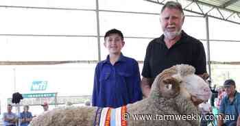 Wickepin Merino ram 'Denni' was unanimously chosen to be grand champion