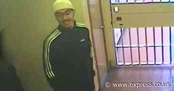 Hashem Abedi's sick jail attack shows what happens when you treat animals like humans