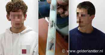 Vlaamse tieners opgepakt in Kenia voor smokkelen mieren met enorme straatwaarde: ‘Ik wil gewoon naar huis’