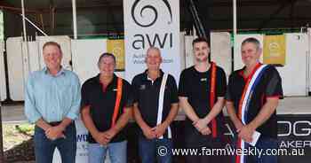 Broomehill 'shearing royalty' dominates at Williams expo shearing comp