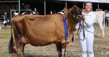 Terang farmers do the double to top Australian Breeding Values lists