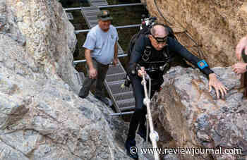Earthquakes can’t stifle progress of tiny Devils Hole pupfish, feds say