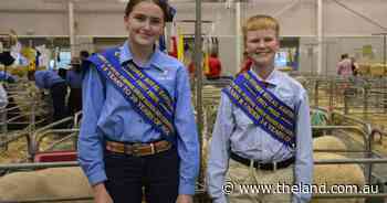 School sheep handler winners show grace under pressure during judging