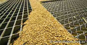 Currency tumble sparks a producer selling spree in Australia