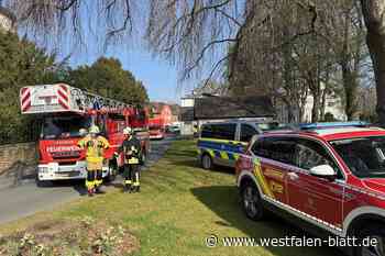 Rettungsaktion in Höxter: 94-Jähriger stürzt in Bach