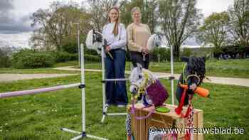 Leonie (14) zet hobbyhorse op de kaart met eigen event: “Sommige springen wel 1m20 hoog”