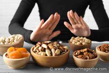 New Immune Cell Discovery May Ease Food Allergy Symptoms