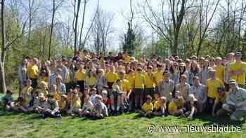 Scouting Bornem blaast 75 kaarsjes uit: feestweekend met galabal in de Abdij en speeldag
