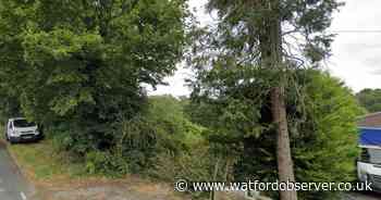 Five homes to be built on undeveloped site