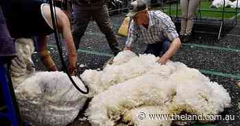 How to win a production class: the traits that bring a fleece value to $171.82