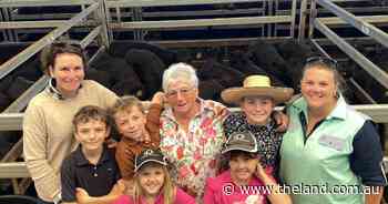 Northwest's weaner beef Powerhouse delivers another cracking sale for vendors