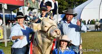 Ussain, the bolter from Singleton and family favourite for the Gardners
