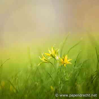 Start 'Inventariseren van planten'