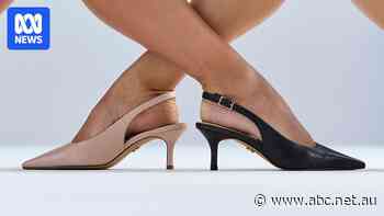 Footwear chain Wittner hopes for new buyer after collapse