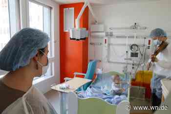 Kinderkrebshilfe: Von Legobeschaffern zu Lebensrettern