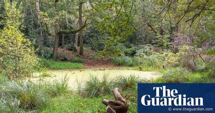 Resurrected pools, remnants of last ice age, attract wildlife in Norfolk