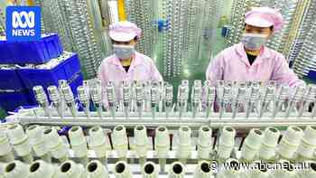 'Going to China with an empty suitcase': US shoppers swap tips to beat tariffs