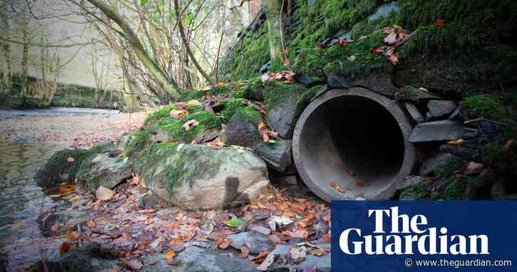Water companies’ pollution incidents in England increased by 30% in 2024