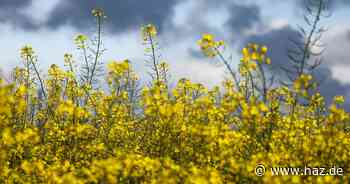 Gewitter in Hannover erwartet: Mittwoch, 16. April, wird wechselhaft