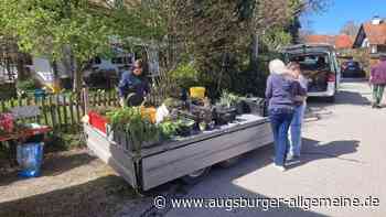Pflanzentauschmärkte in Vilgertshofen starten wieder