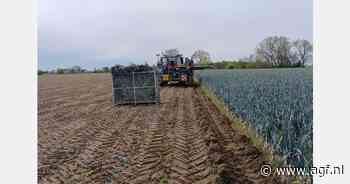 "In de paasvakantie zien we de vraag naar biologisch altijd afnemen"