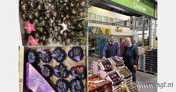 "Stabiele vraag naar speciale tomatenrassen"