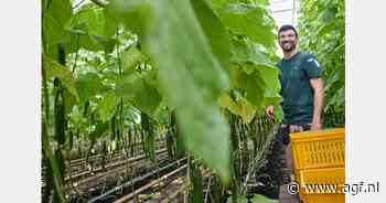 Alnatura, Reichenau-Gemüse en Landgut Pretschen bundelen krachten