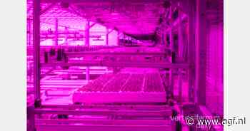 "Je kunt niet zomaar hetzelfde draaiboek van de ene farm naar de andere kopiëren"