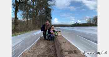 "Iedereen kan bij ons asperges kopen"