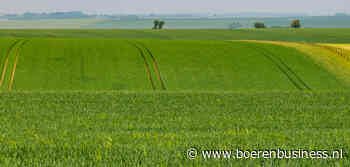 Franse telers zaaien meer tarwe in gunstige herfst