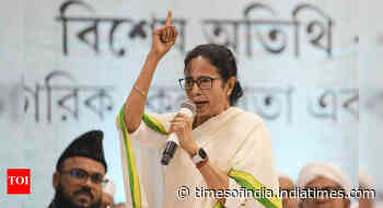 CM Mamata calls BJP 'anti-Muslim', says it 'played trick' to pass Waqf law