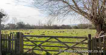 Wallace and Gromit creator donates to £4m farm transformation into ‘haven for biodiversity’