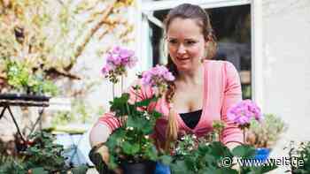 Das Symbol für den Wandel des Gartens