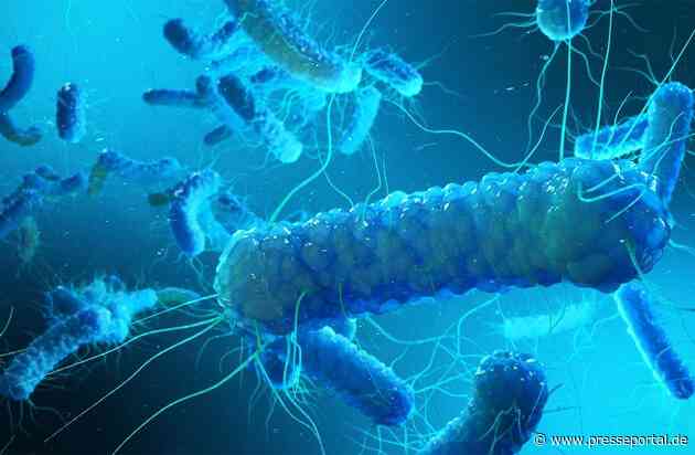 Legionellenrisiko oft unterschätzt: Warum Vermieter aktiv werden müssen / Trinkwasserhygiene in Wohngebäuden - Verantwortung von Vermietern und Eigentümern