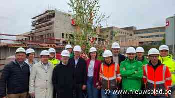 Meiboom op hoogste punt van nieuw revalidatie- en MS-centrum: “Vanaf 2026 gefaseerd in gebruik”