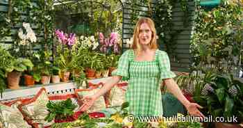 Expert tips on hosting vibrant dinner parties this season