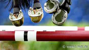 Pferdeherpes: mehrere Reitturniere abgesagt