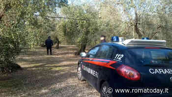 Dramma in pineta: trovato cadavere in una baracca